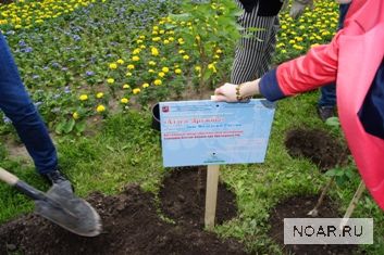 «Аллея Дружбы» в парке «Красная Пресня»